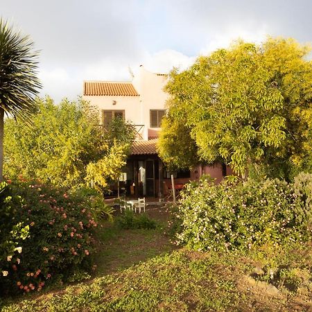 Home2Book Amazing Teide View & Terrace El El Sauzal Eksteriør bilde